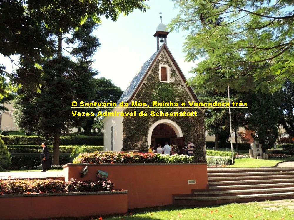 DSCN5048-Medium-e1670940920625